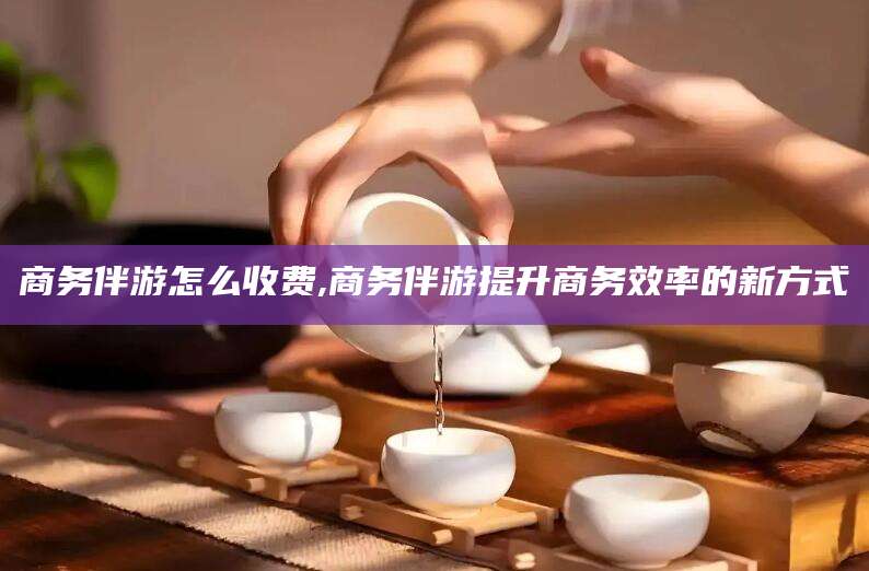 拉萨商务伴游怎么收费,商务伴游提升商务效率的新方式