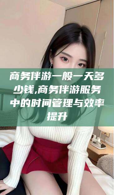 拉萨商务伴游一般一天多少钱,商务伴游服务中的时间管理与效率提升